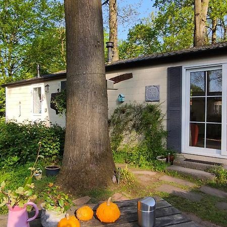 Boshuisje Wageningen Zewnętrze zdjęcie